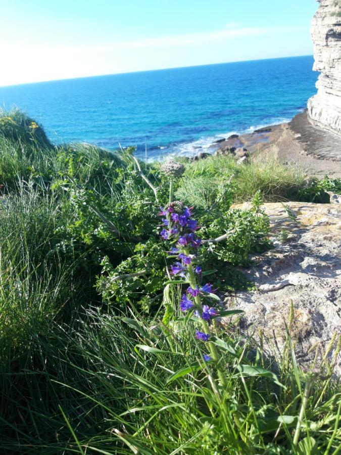 La Torruca Villa Orena Dış mekan fotoğraf