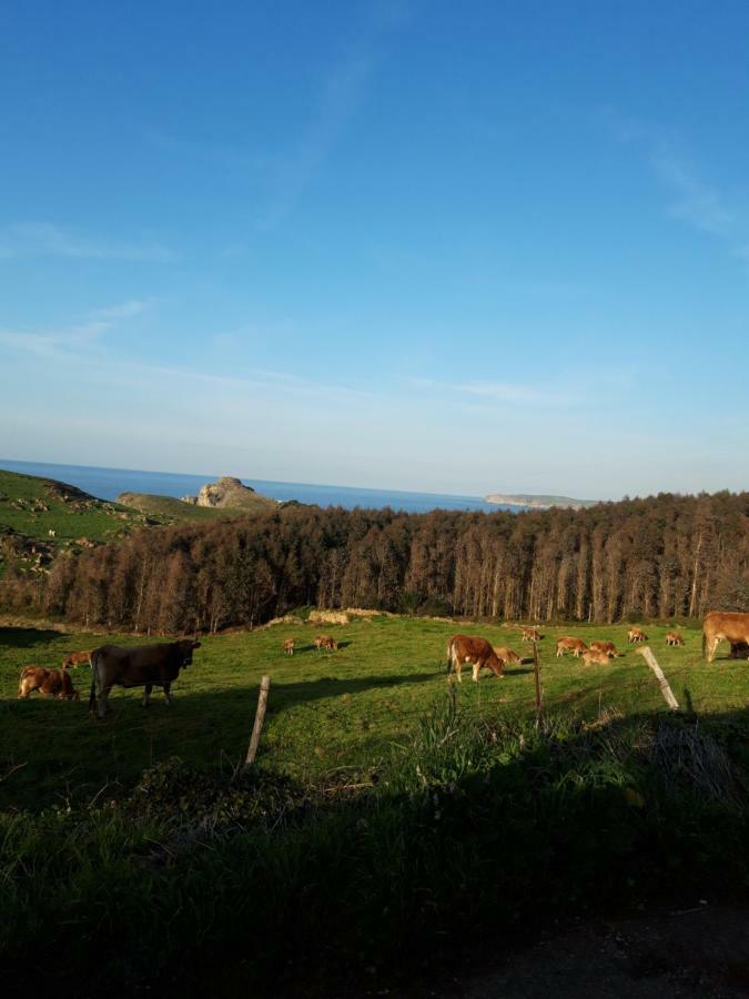 La Torruca Villa Orena Dış mekan fotoğraf